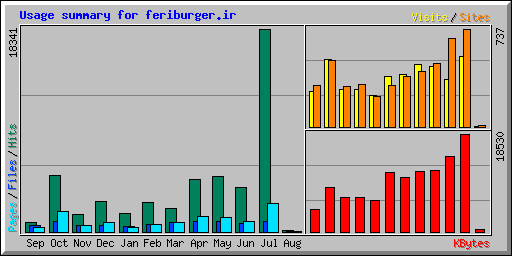 Usage summary for feriburger.ir
